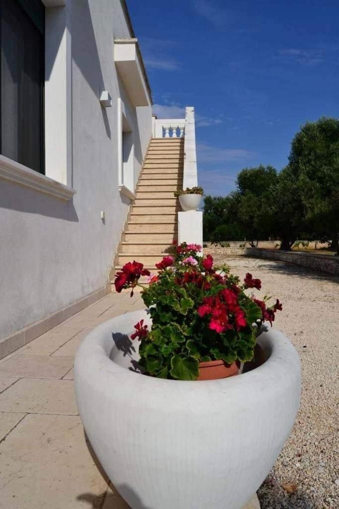 Le Stanze Di Casa Polinisso Hostal Carovigno Exterior foto
