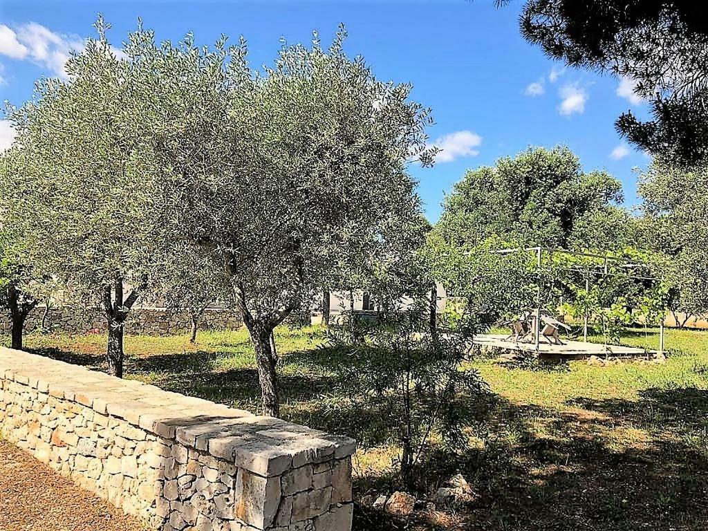 Le Stanze Di Casa Polinisso Hostal Carovigno Exterior foto